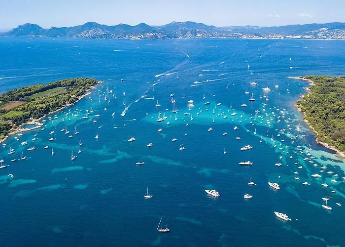 Profitez Du Festival Du Soleil De Cannes